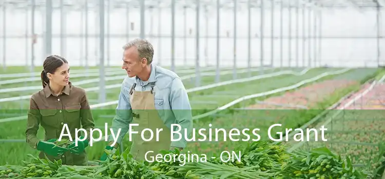 Apply For Business Grant Georgina - ON
